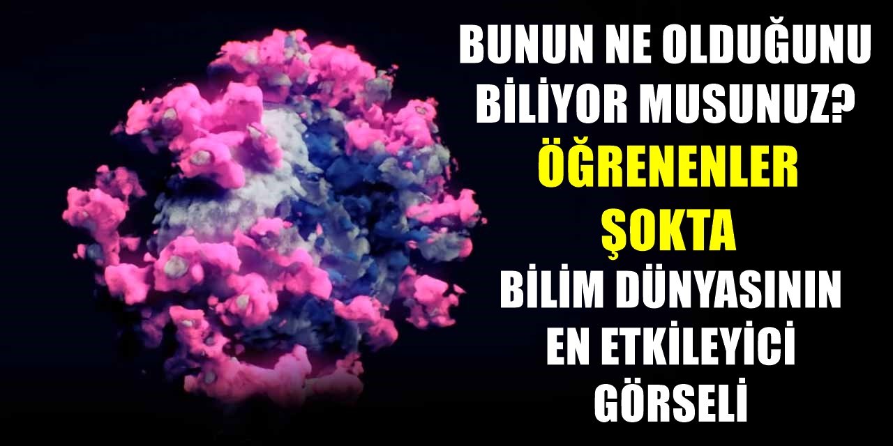 Bilim Dünyasının paylaştığı en etkileyici görsel! Ne olduğunu öğrenenler şaşkınlıklarını gizleyemedi!