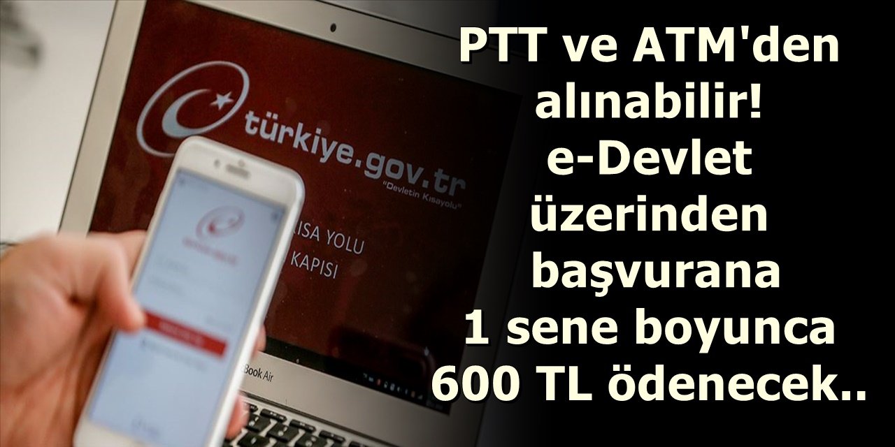 PTT ve ATM'den alınabilecek! E-Devlet üzerinden başvurana 1 sene boyunca 600 TL ödenecek