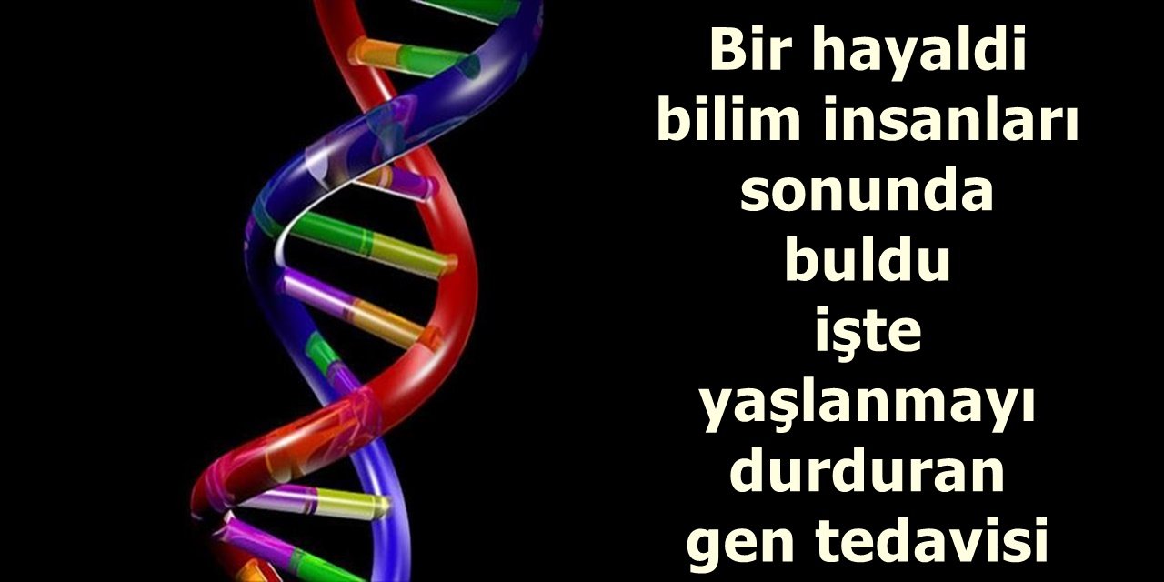 Bir hayaldi bilim insanları sonunda buldu işte yaşlanmayı durduran gen tedavisi