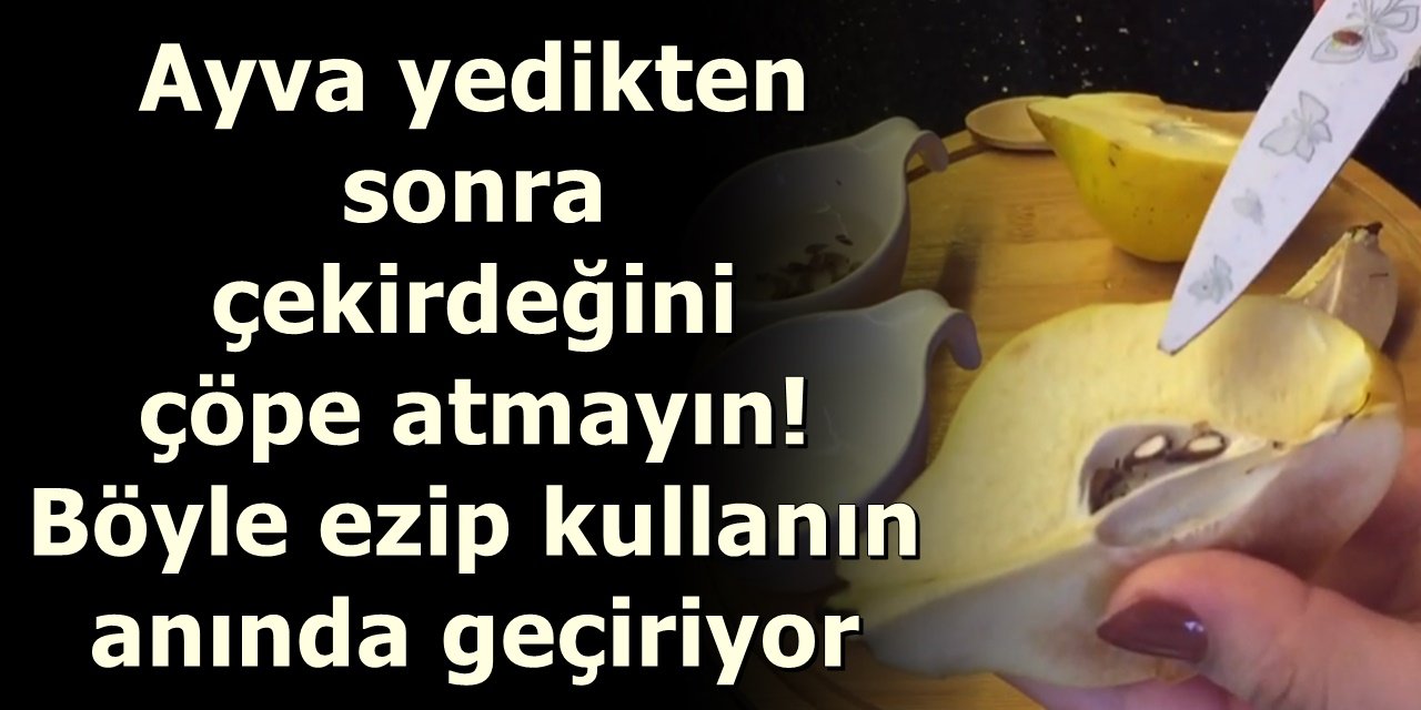 Ayva yedikten sonra çekirdeğini çöpe atmayın böyle ezip kullanın anında geçiriyor