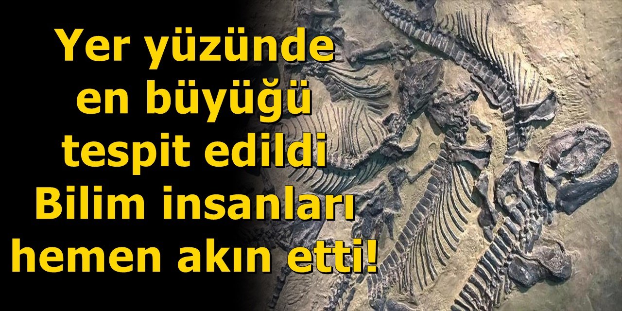 Yer yüzünde bugüne kadarkiler arasında en büyüğü tespit edildi Bilim insanları hemen akın etti!