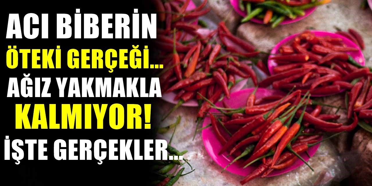 Acı Biber Sadece ağzımızı yakmıyormuş vücuda 1 ay yenirse bilinmeyen bir etkisi çıktı