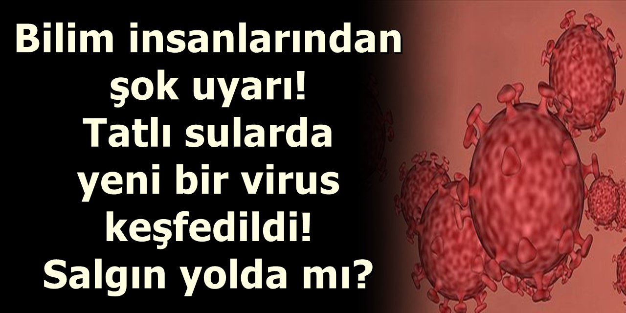 Bilim insanlarından şok uyarı! Tatlı sularda yeni bir virus keşfedildi! Salgın yolda mı?