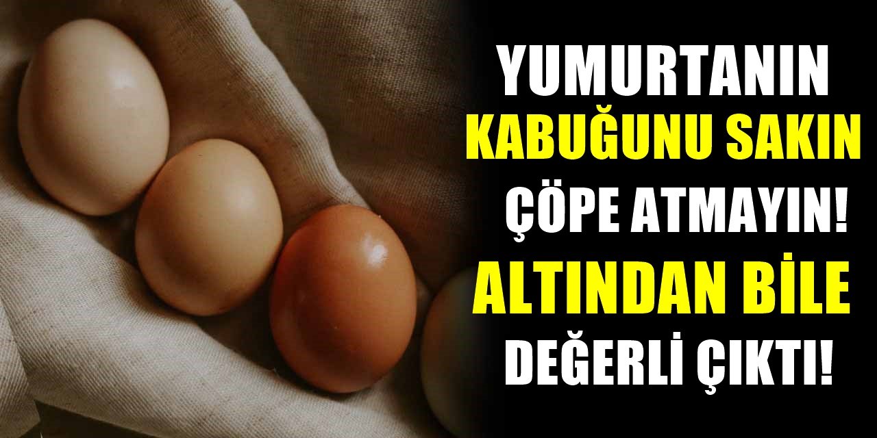Hazineyi Sakın çöpe atmayın! Yumurta kabuğunun bu marifetleri şaşırtacak