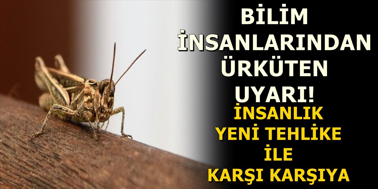 Bilim insanlarından ürküten uyarı! İnsanlık yeni tehlike ile karşı karşıya