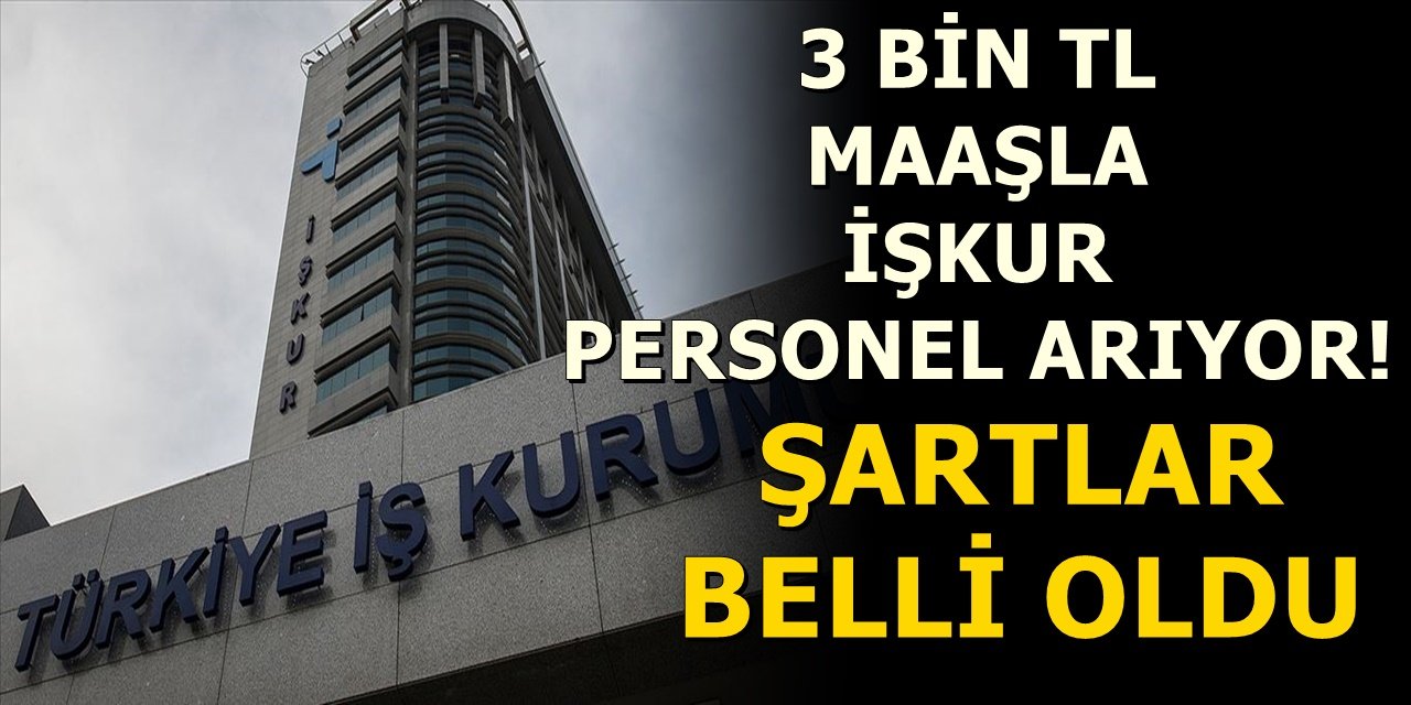 3 bin TL maaşla İŞKUR personel arıyor! Şartlar belli oldu
