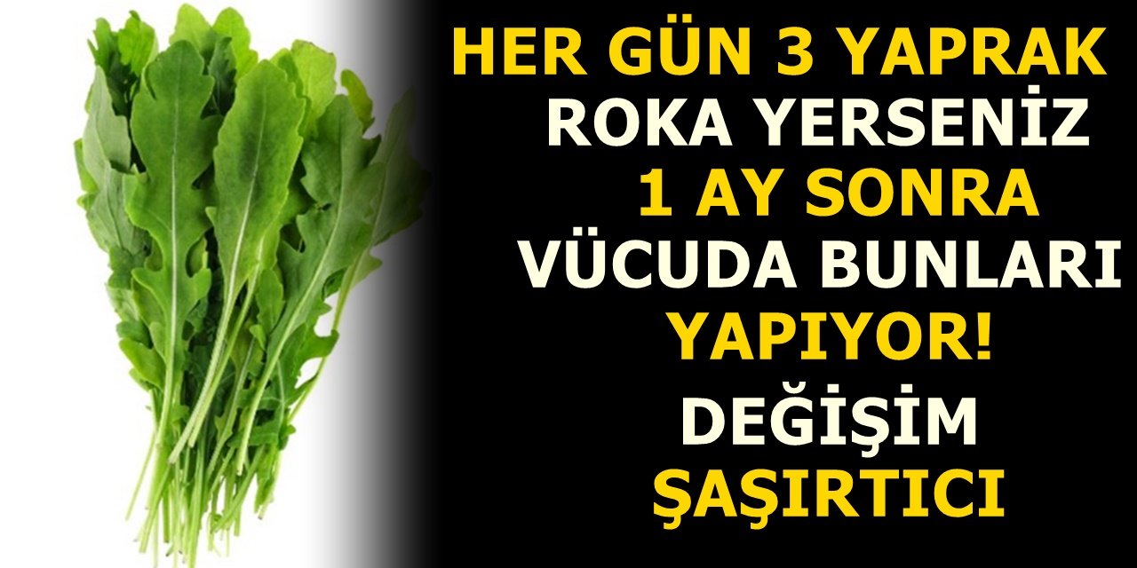 Her gün 3 yaprak roka yerseniz 1 ay sonra vücuda bunları yapıyor! Değişim şaşırtıcı