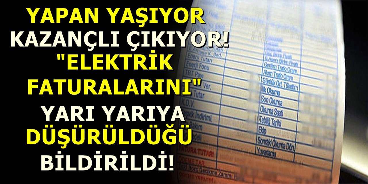 Yapan yaşıyor kazançlı çıkıyor! Elektrik faturalarını yarı yarıya düşürdüğü bildirildi