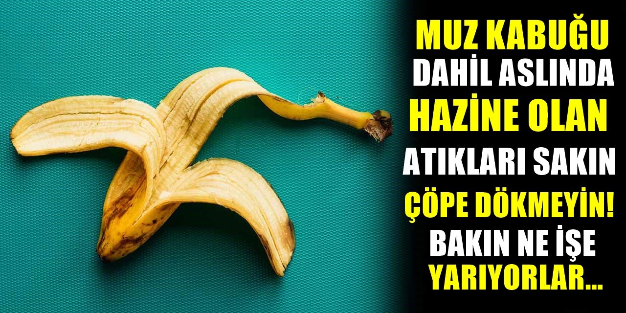 Muz Kabuğu, Yumurta Kabuğu, Balık Atığı... Hiçbirini Çöpe Dökmeyin, Bakın Ne İşe Yarıyorlar?