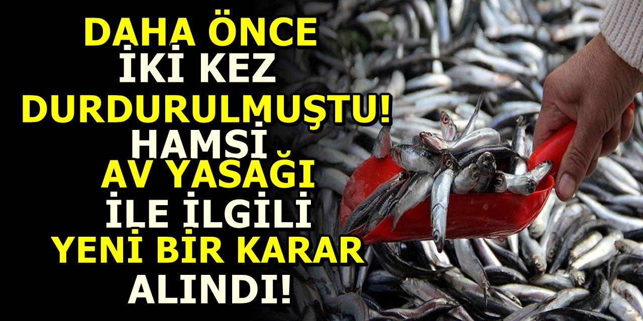 Tarım ve Orman Bakanlığı'ndan hamsi avcılığı yasağına ilişkin yeni bir karar aldı..