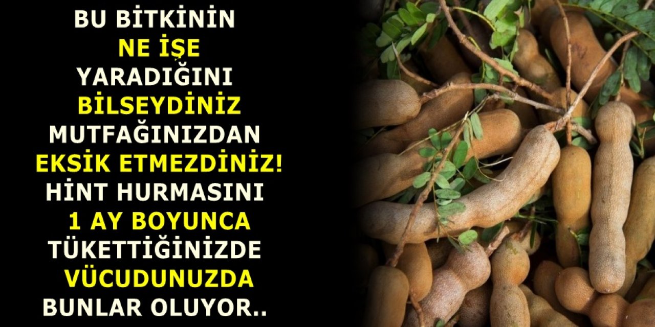 Bu bitkinin ne işe yaradığını bilseydiniz evinizden eksik etmezdiniz. Hint hurmasını 1 ay boyunca tükettiğinizde..