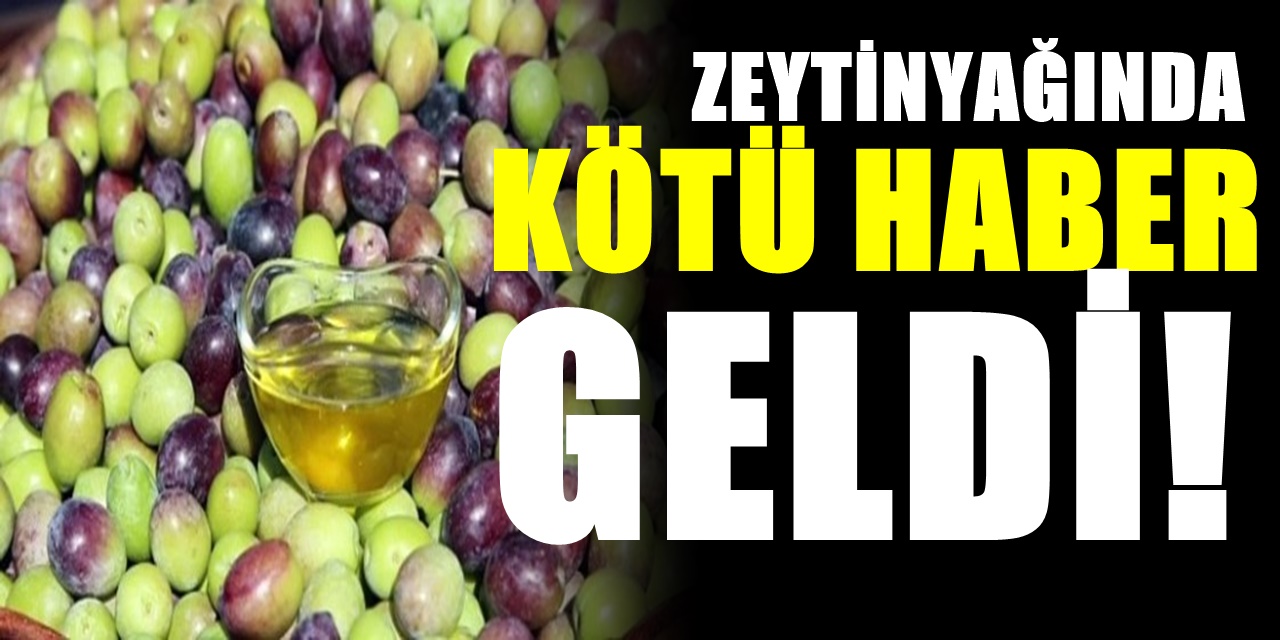 Zeytinyağı fiyatları yine yükselecek vatandaşı çileden çıkaran açıklama