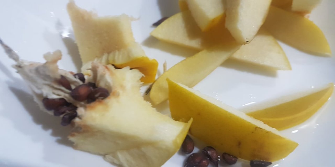 Ayva çekirdeğini çöpe atıyorsanız öğrenince atmayacaksınız Cilt güzelleştiren Ayva çekirdeği jeli tarifi