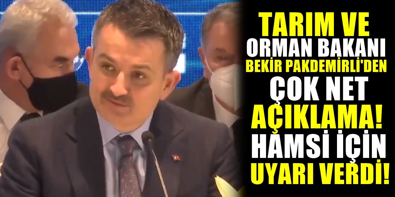 Tarım ve Orman Bakanı Bekir Pakdemirli'den Flaş Açıklama! Hamsi'de Yeni Dönem...