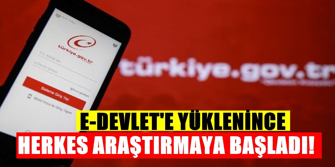 Bakanlık Açıkladı! E-Devlet Üzerine Yüklenince Herkes Araştırmaya Başladı