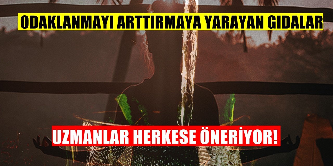 Odaklanma Problemi Yaşıyorsanız Bu Besinleri Tüketin! İşte Konsantrasyonu Arttıran Gıdalar