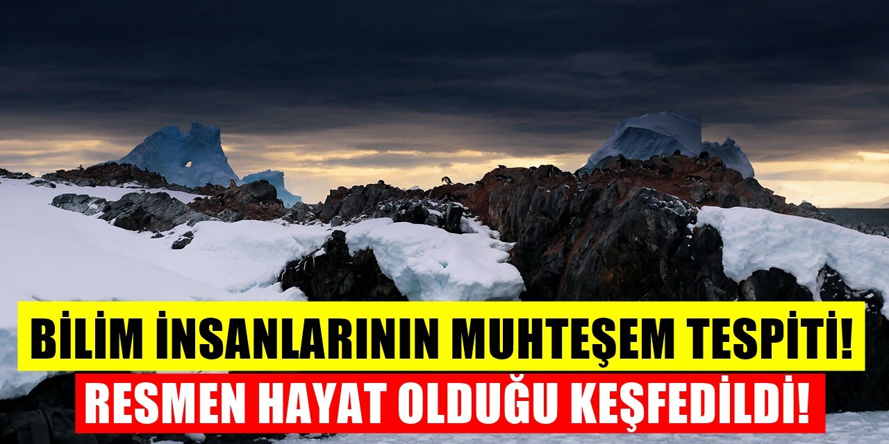 Bilim İnsanlarından Büyük Tespit! Resmen Hayat Keşfedildi!