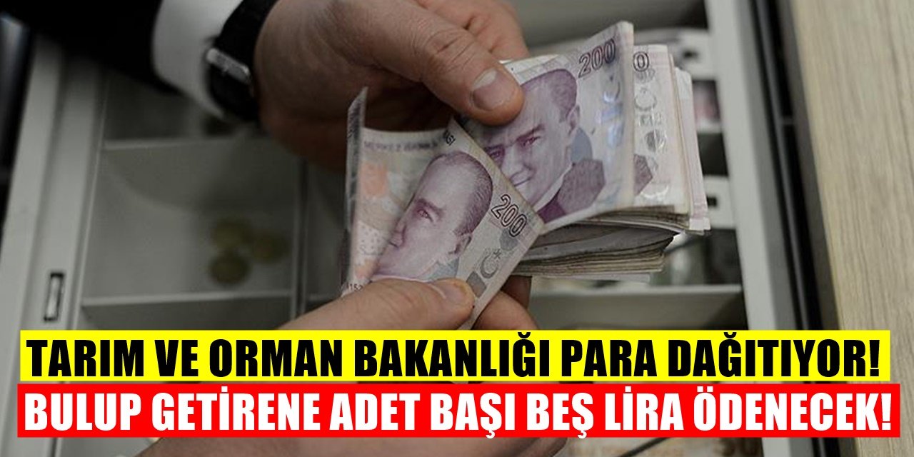 Bakanlık Tanesini Beş Liradan Aldığını Duyurdu! Görürseniz Toplayın!