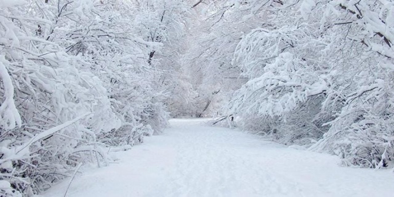 Meteoroloji Uyarıyor! 4 İl İçin yoğun ve şiddetli kar uyarısı
