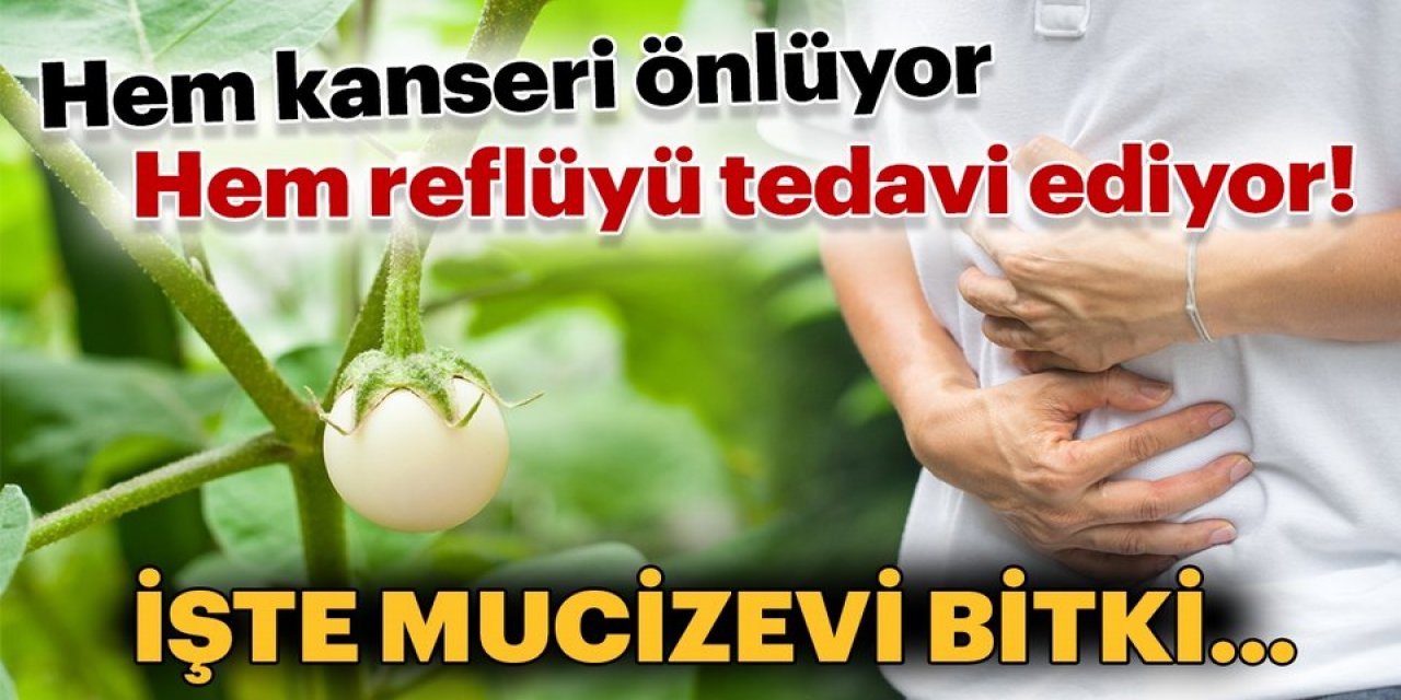 Kanser Önleyici Şifalı Bitkiler Bu Yiyecekler Kanserin Baş Düşmanı Çıktılar!