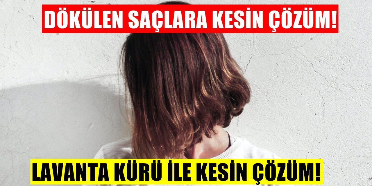 Dökülen Saçlara Kökünden Çözüm! Kellik Oluşumuna Anında Müdahale Eden Lavanta Kürü!