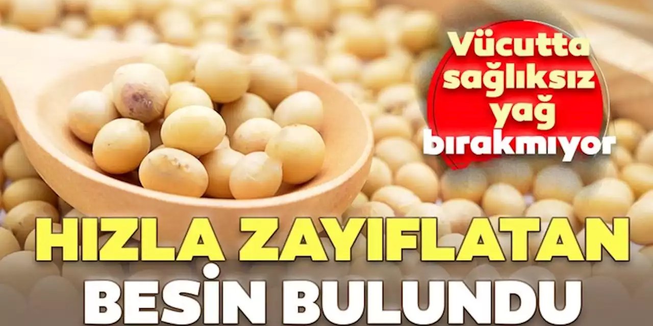 Şişmanlığın Çözümü İçin En Etkili Besinler! Vücuttaki Tüm Fazlalık Yağları Yok Ediyor ve..
