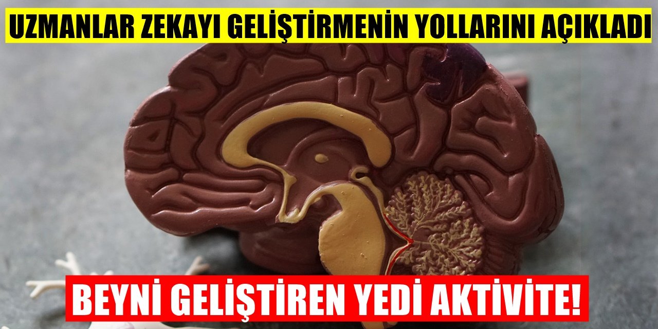 Daha Zeki Olmanın Yolları! Beyninizi Harekete Geçiren Yöntem