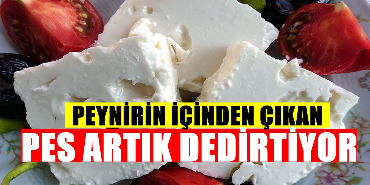 Peynirin İçinden Çıkan Dehşete Düşürdü! Olay Kocaeli'de yaşandı! Peynir Alırken Dikkat edin çünkü..