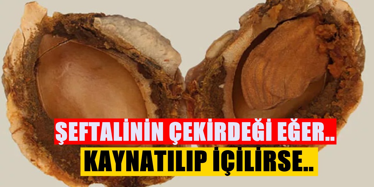 Şeftali Çekirdeğini Çöpe Atmayın Faydasını Duyunca Şaşıracaksınız Kaynatıp İçin Şıp Diye O sorunu...
