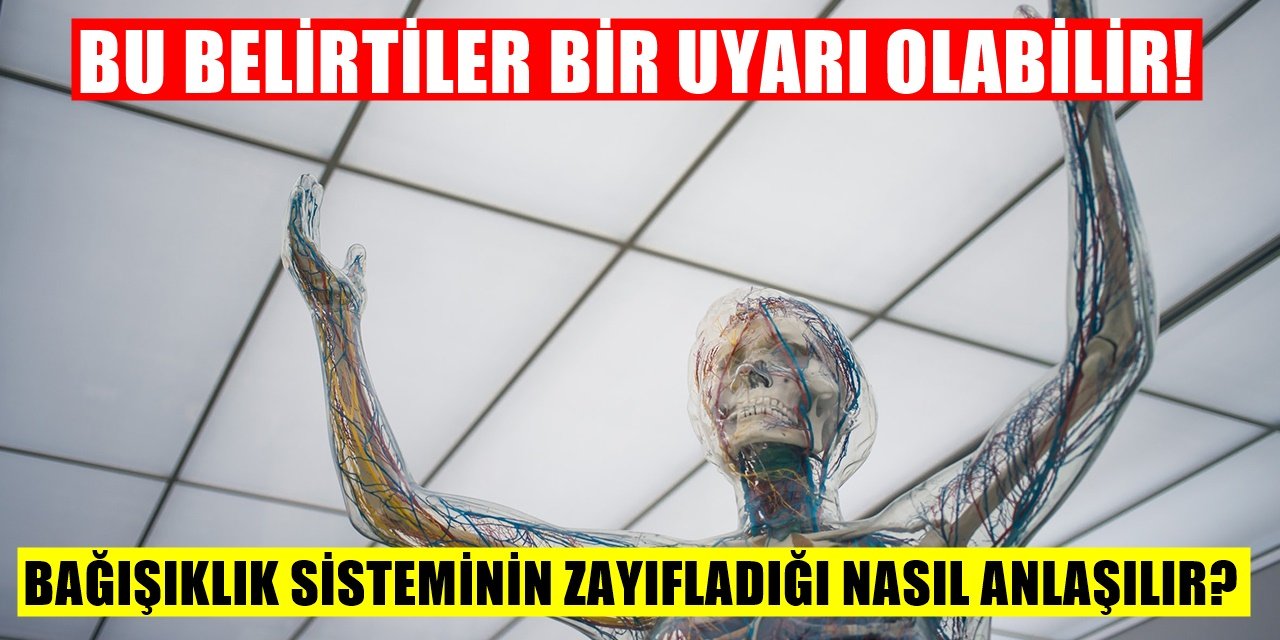 Bu Belirtileri Görüyorsanız Bağışıklık Sisteminiz Çöküyor Olabilir! Bağışıklık Sistemini Güçlendirmek İçin...