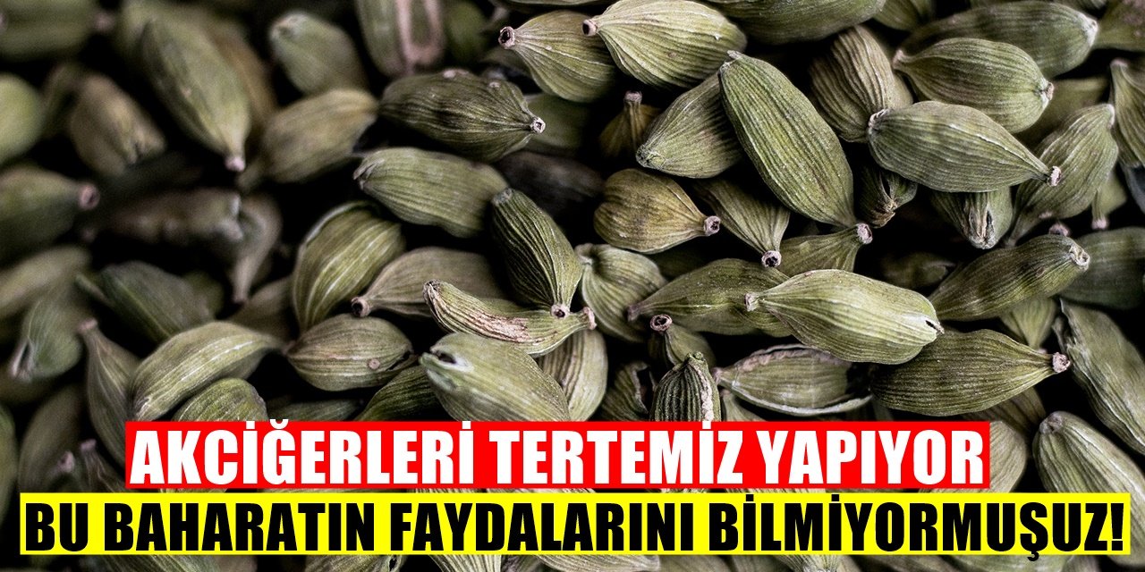 Akciğerleri temizliyor Kan damarını açıyor ve vücuttaki tüm mikrobu...