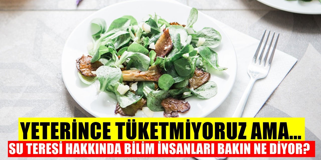 Yeterince Yemiyoruz Ancak En İyisi O Çıktı! Su Teresinin Bu Yararlarını Kimse Bilmiyordu...