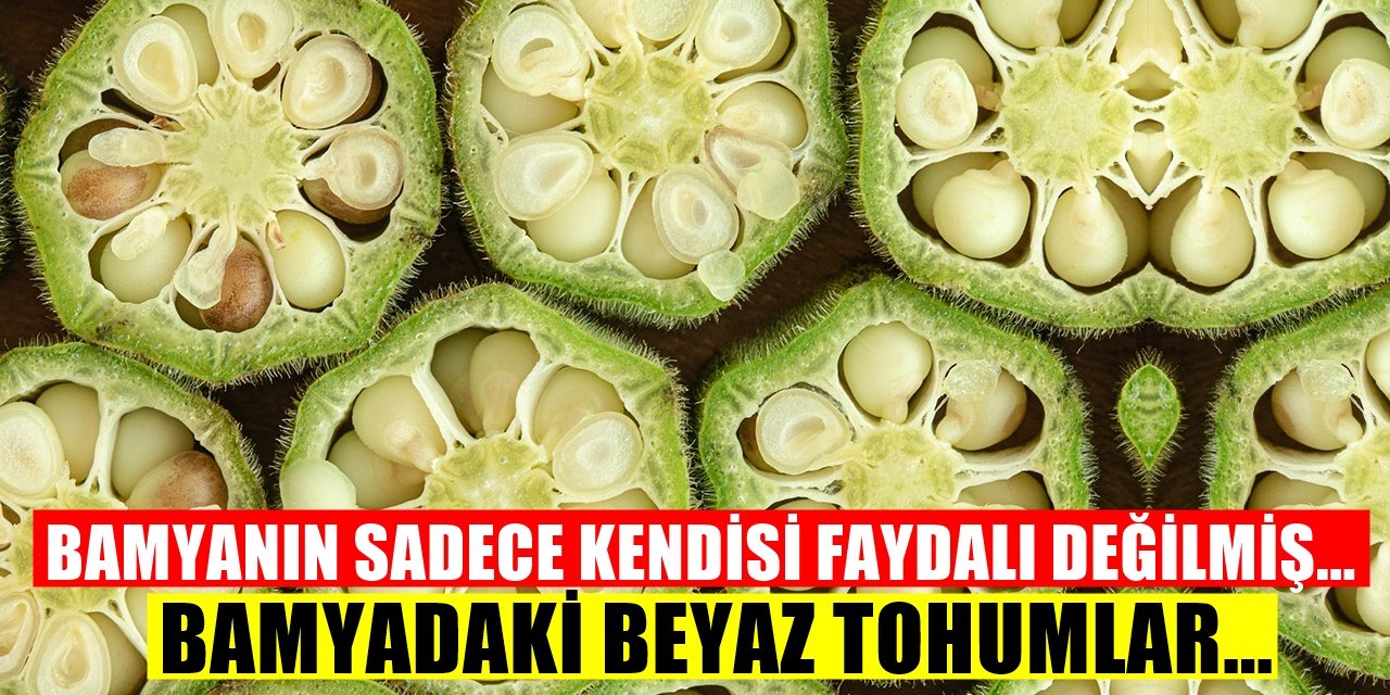Bamya Tohumu Hakkında Bunları Duymamıştık! Meğer Bamyanın İçindeki Tohumlar...