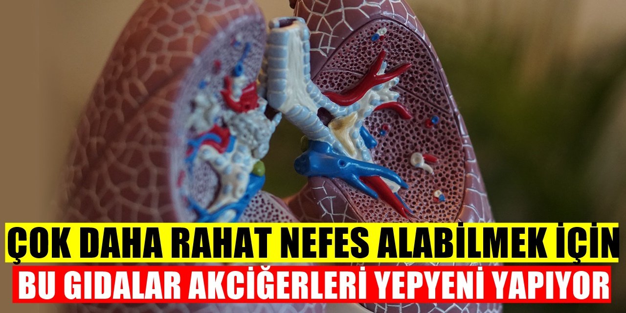 Akciğerleri Sıfırlayan Gıdalar! Sağlıklı Akciğerlere Kavuşmak İçin Bu Gıdaları Mutlaka Tüketin!