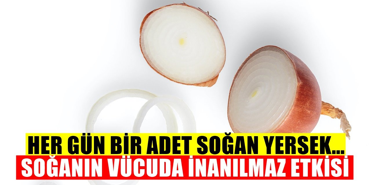 Düzenli Soğan Tüketiminde Vücutta Meydana Gelen Değişiklikler...
