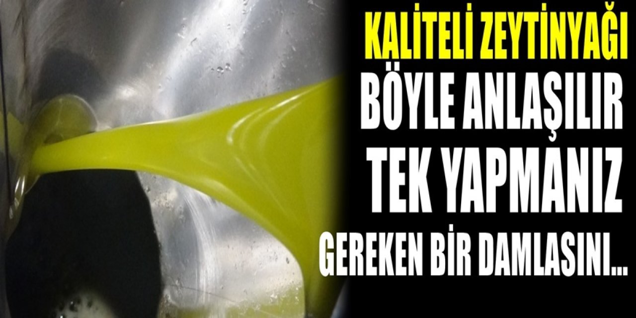 Aldığınız zeytinyağı kaliteli mi değil mi anlamak çok basit sadece bir damlasını alınız ve de..