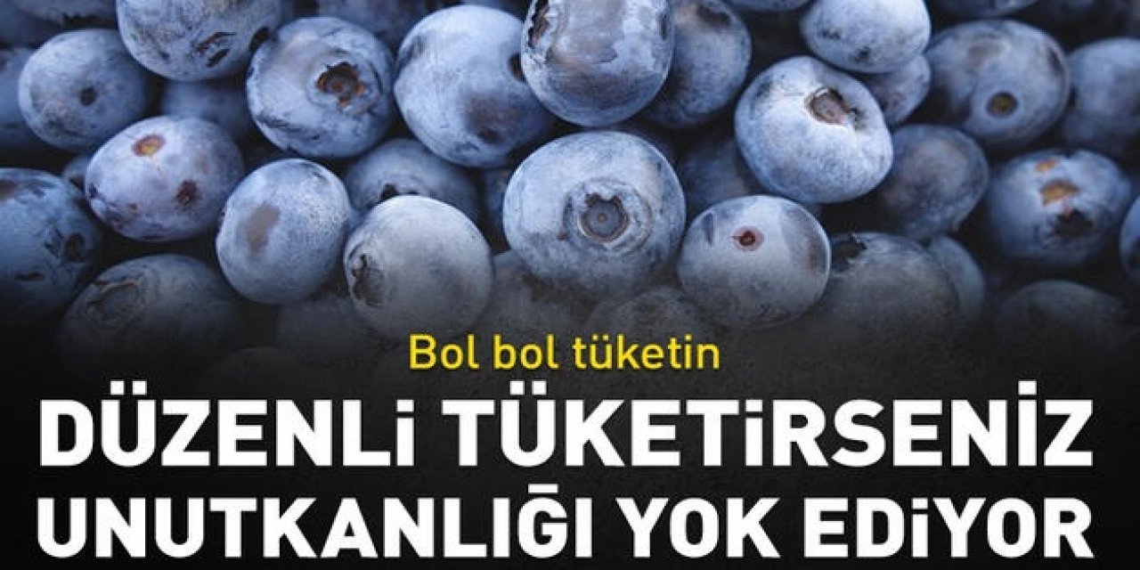 Unutkanlık Problemine Çare Olan Yemiş Bir Avuç Yemek Bile yeterli Olabiliyor