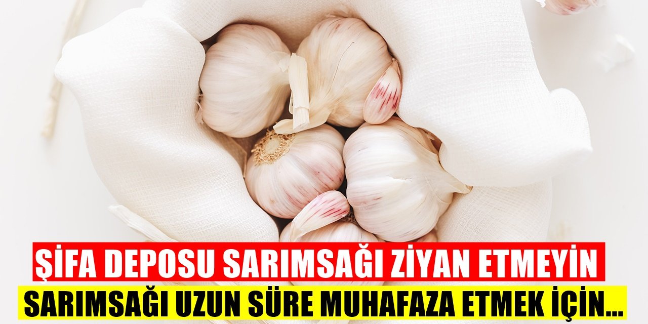 Sarımsak Nasıl Saklanır? Bozulduğunu Nasıl Anlayabiliriz?