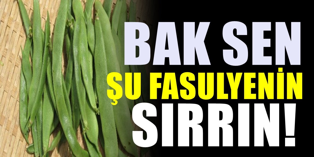 Bunu öğrenince bundan böyle hep taze fasulye pişireceksiniz. Şaşırtan faydası ve en kusursuz tarifi