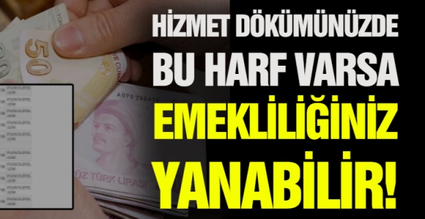 Emekli Maaşınızın İptal edilmemesi için kontrol etmenizde fayda var