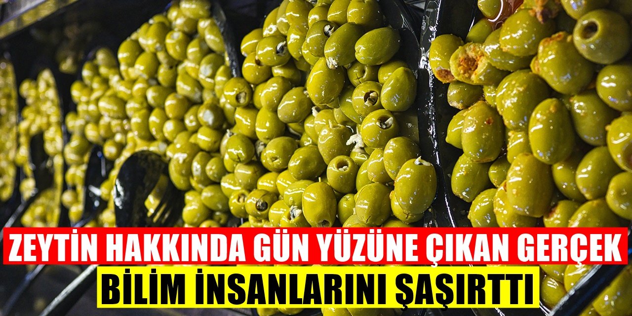 Zeytin Hakkında Ortaya Çıkan Şok Edici Gerçek! Bilim İnsanları Şaşırdı