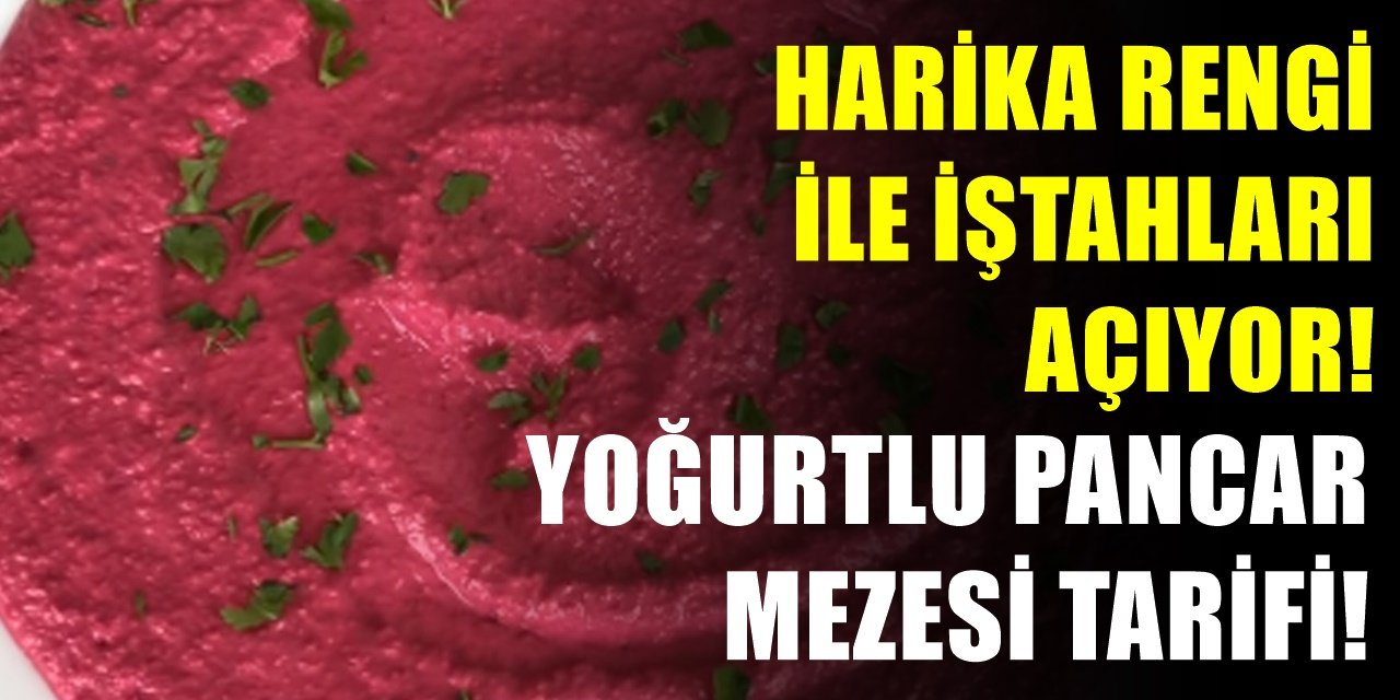 Pembe nefis bir lezzet! Yoğurtlu pancarlı enfes nefis meze tarifi!