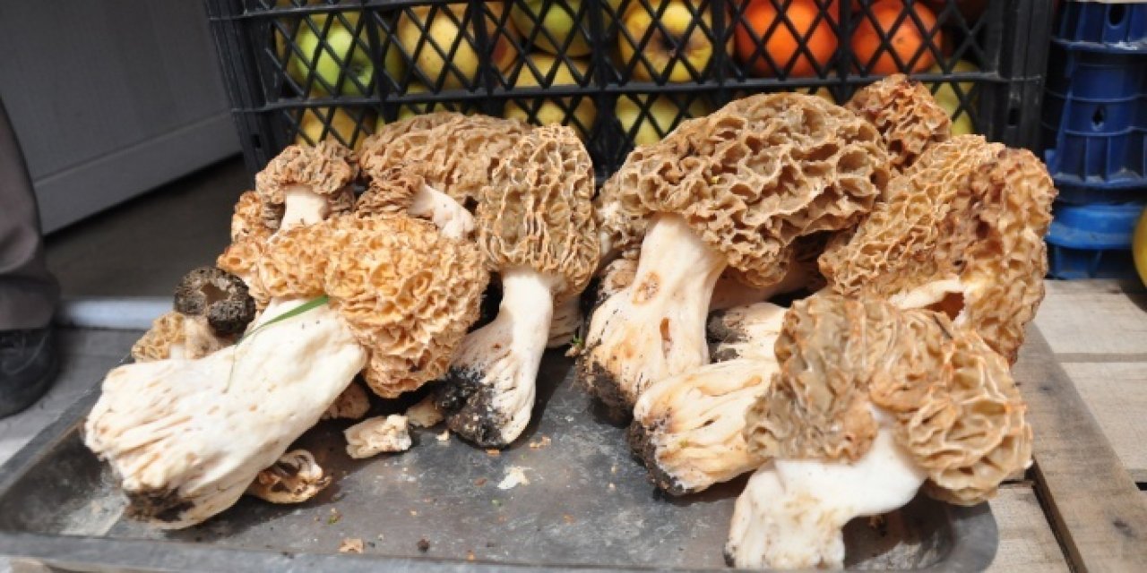 kilosu 150 TL Ancak adeta antibiyotik! Bakınız Nelere nelere faydası var