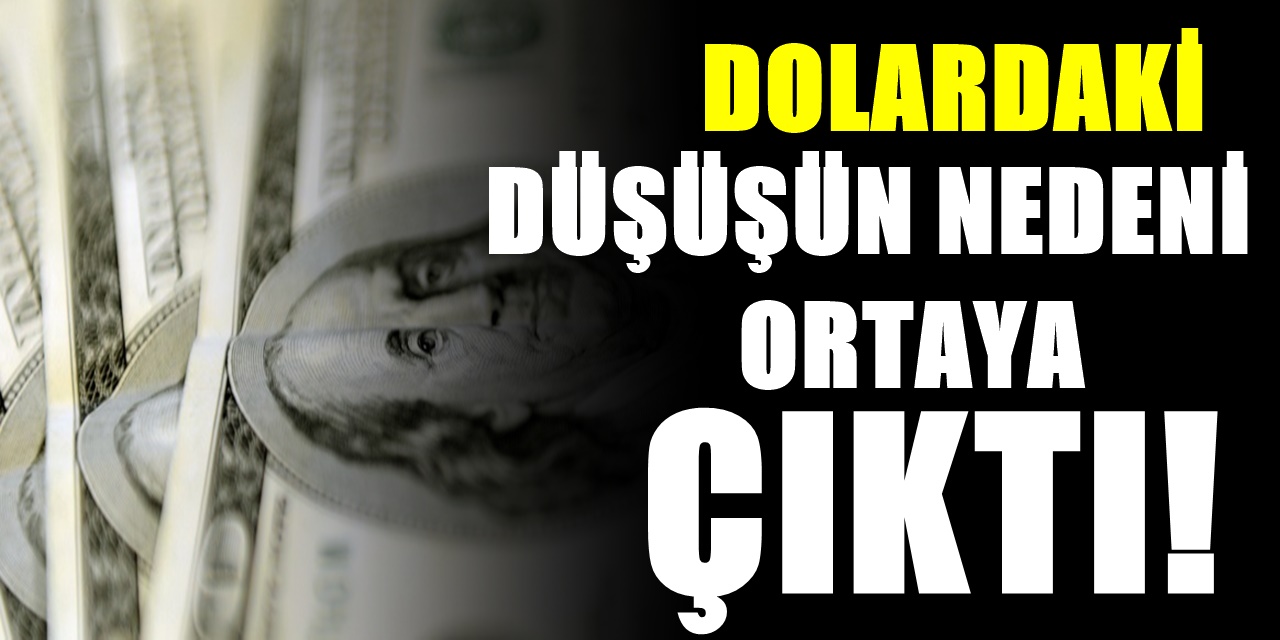 Dolar neden sürekli düşmüş ortaya çıktı! Gerçek Çok farklı