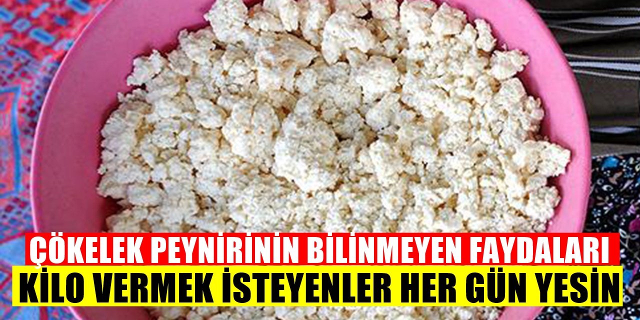 Kilo Vermek İsteyenlerin En Büyük Yardımcısı! Çökelek Peynirinin Zayıflamaya Olan Faydaları...