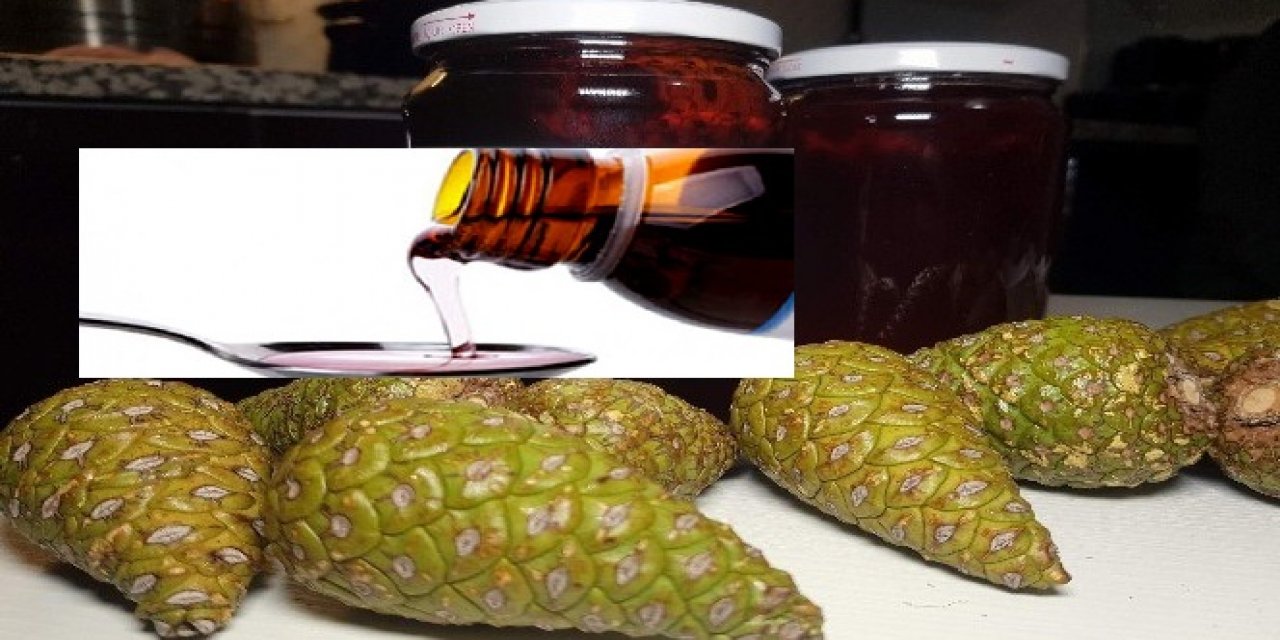 En az şerbet kadar lezzetli Kozalak şurubu nasıl yapılır? Kozalak şurubunun faydaları ve tarifi