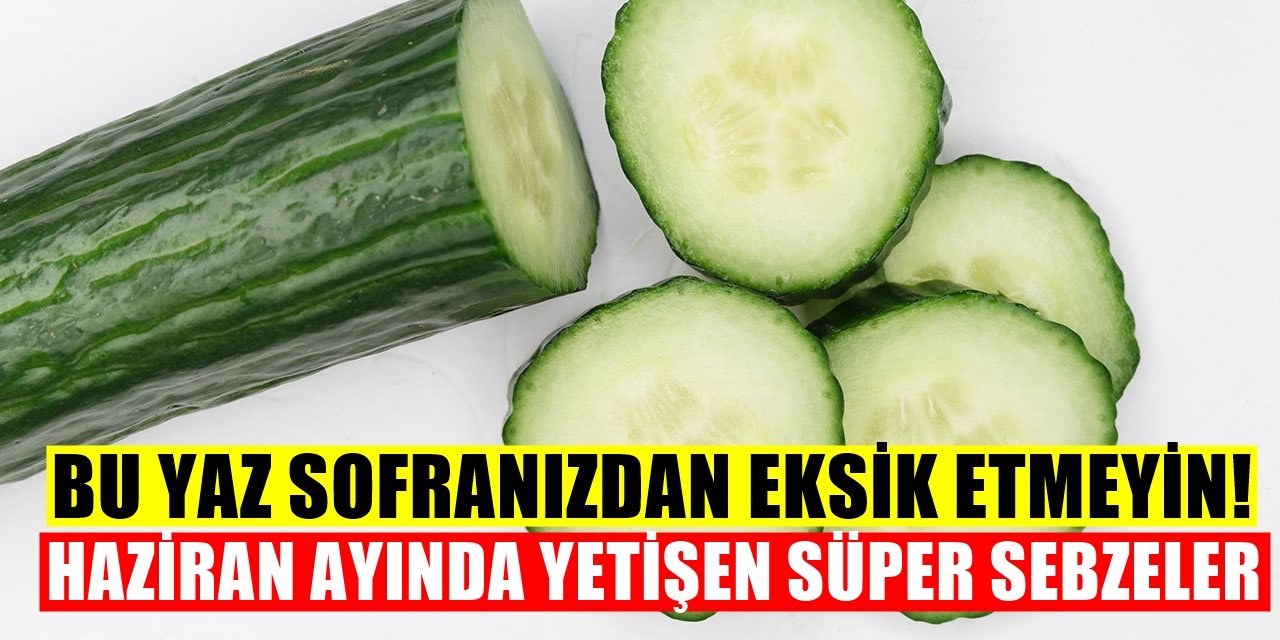 Bu Sebzeleri Sofranızdan Eksik Etmeyin Haziran Ayının En iyi şifa deposu sebzeleri..