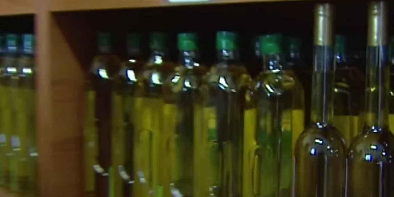 Zeytinyağı Diye Meğer Zehir Yemişiz Bir Bakışta Gerçek Zeytinyağını Anlamanın En Kolay Yolu