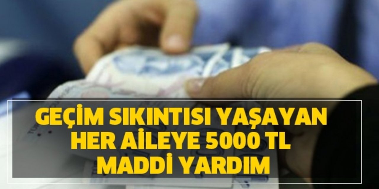 E-Devlet üzerinden başvuranlara Devlet 3000 TL ile 5000 Türk Lirası Arası Ödeme Veriyor