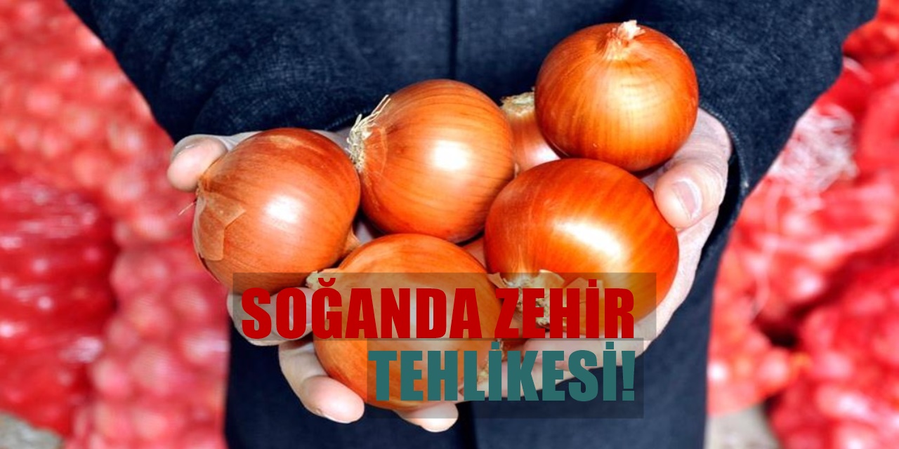 Soğan Seçerken Dikkatli Olun Aldığınız Soğan Sizi Hasta Etmesin İyi Soğan Seçmek İçin Altın Tüyolar